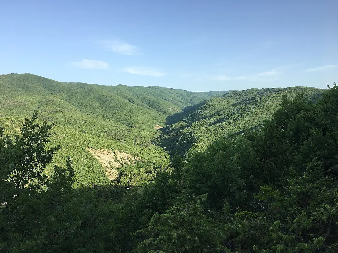Долина на Бошава