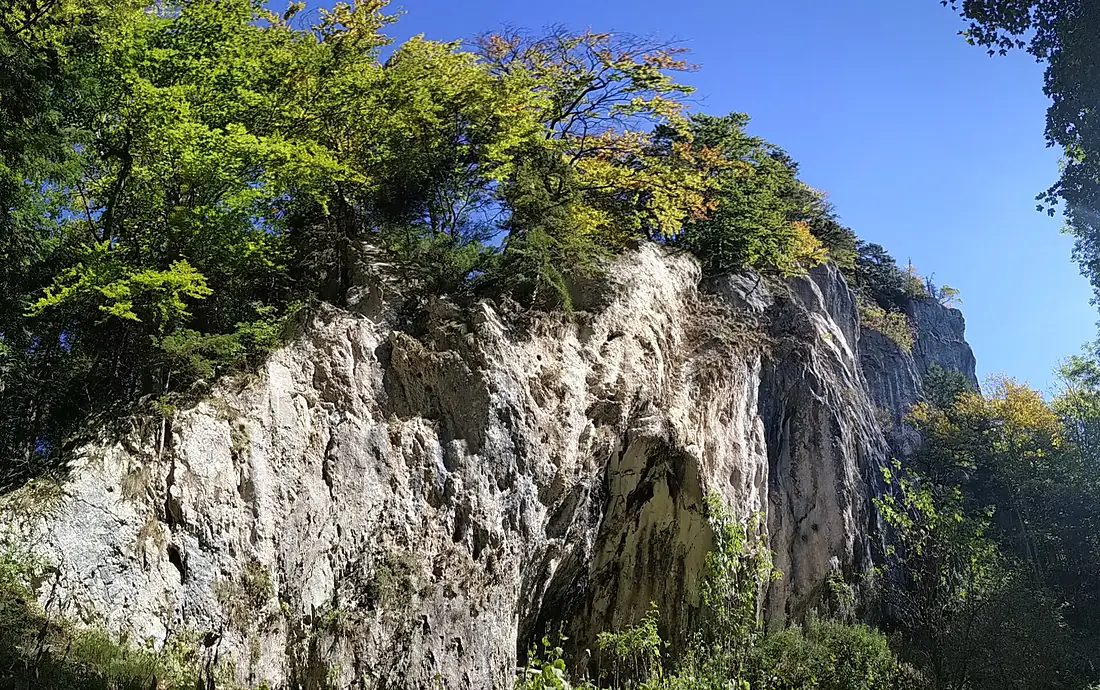 Prăpastia Urșilor 1