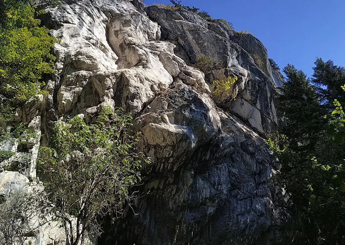 Prăpastia Urșilor 2