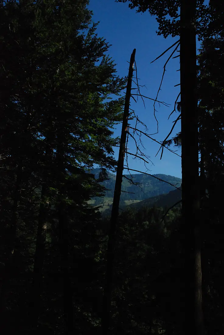 Auf dem Weg zu den Wasserfällen - panoramio