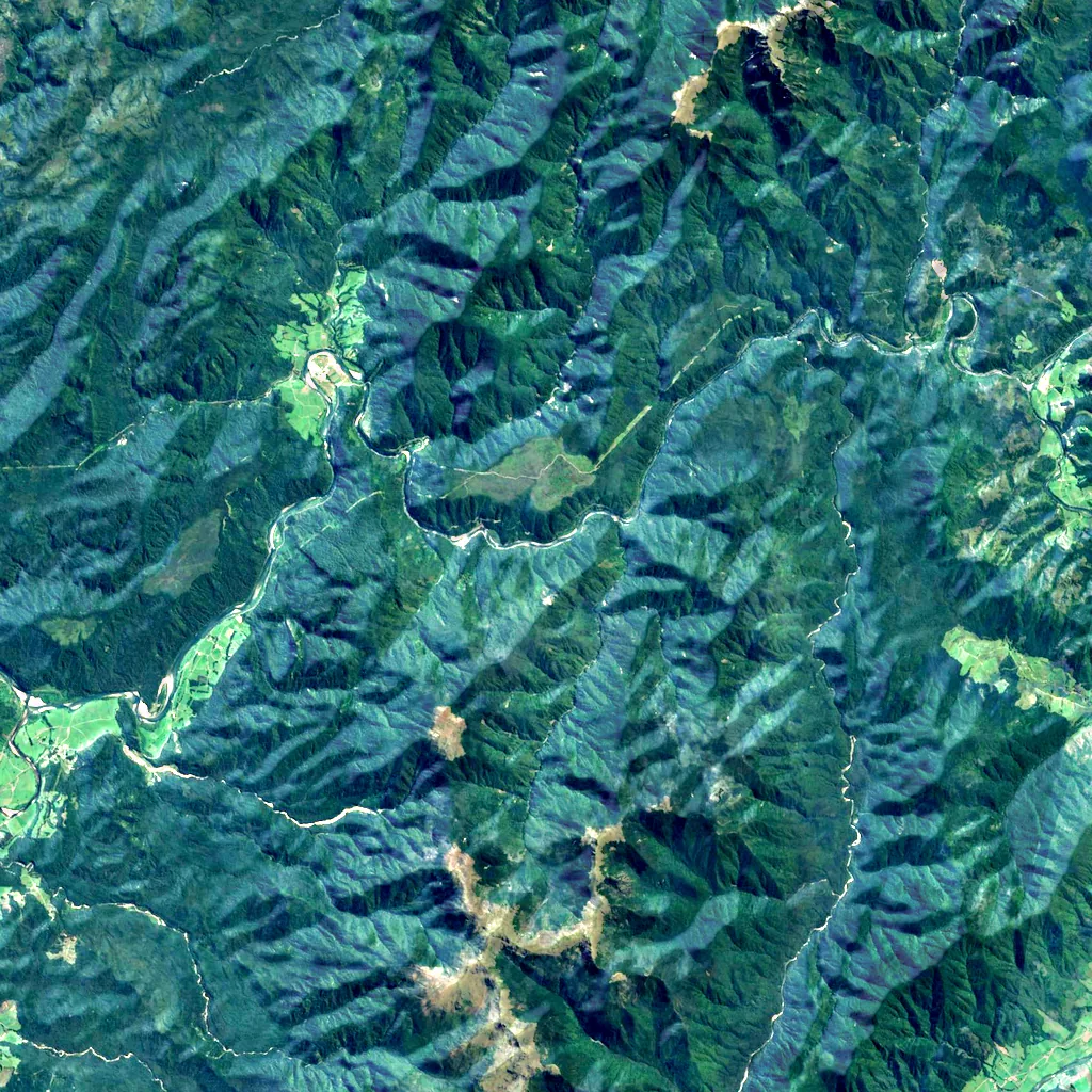 Buller Gorge seen from above (Sentinel-2)