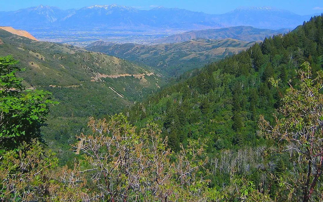 Butterfieldutah