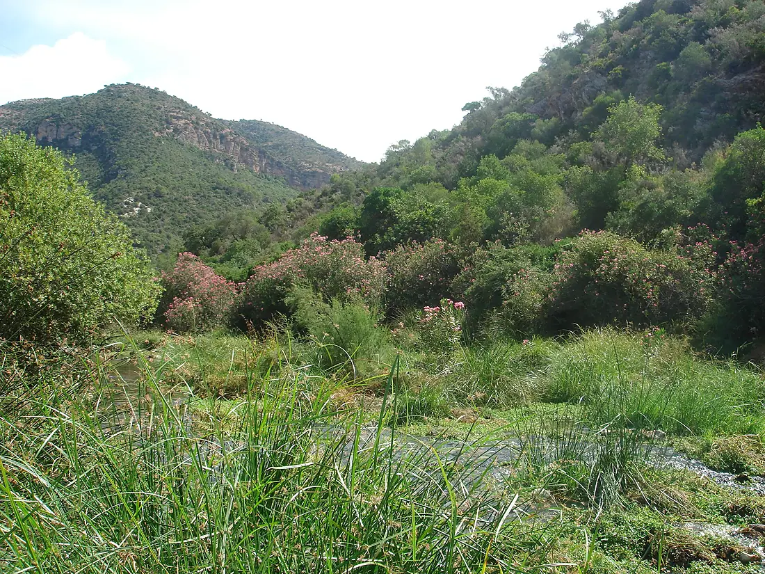 Cañón de las Buitreras 03