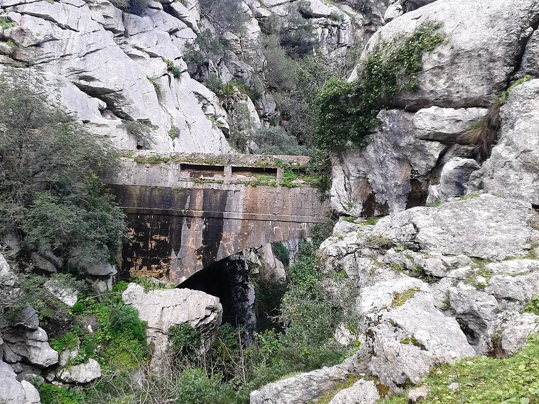 El Rio Guadiaro 04
