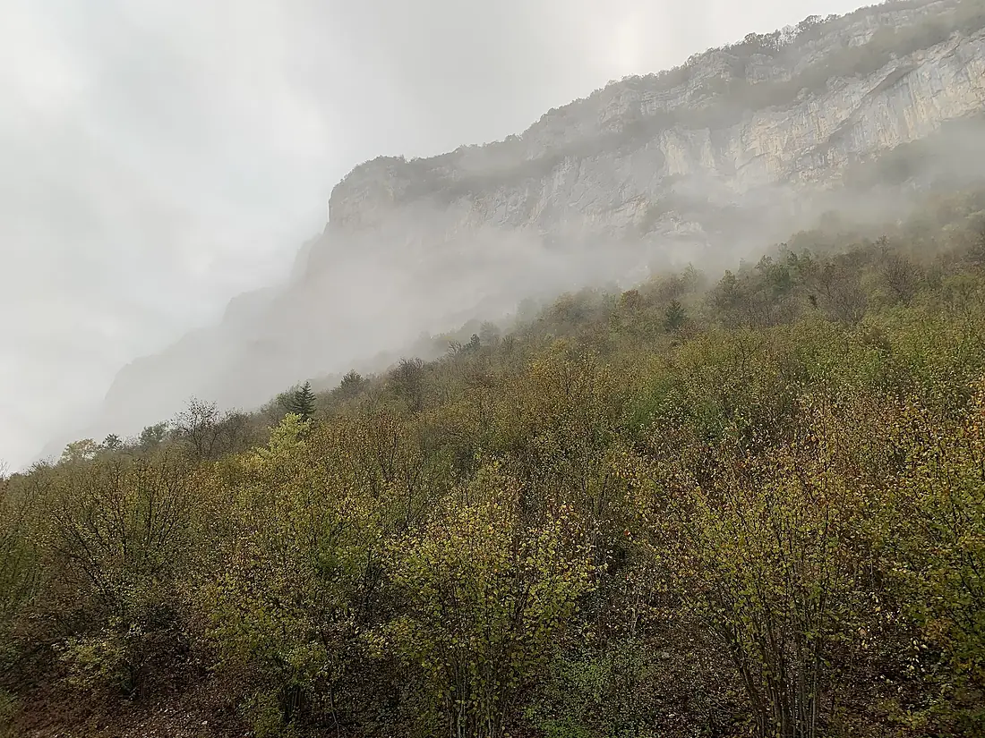 Cluse des Hôpitaux dans le brouillard un matin d'octobre 2019 (2)
