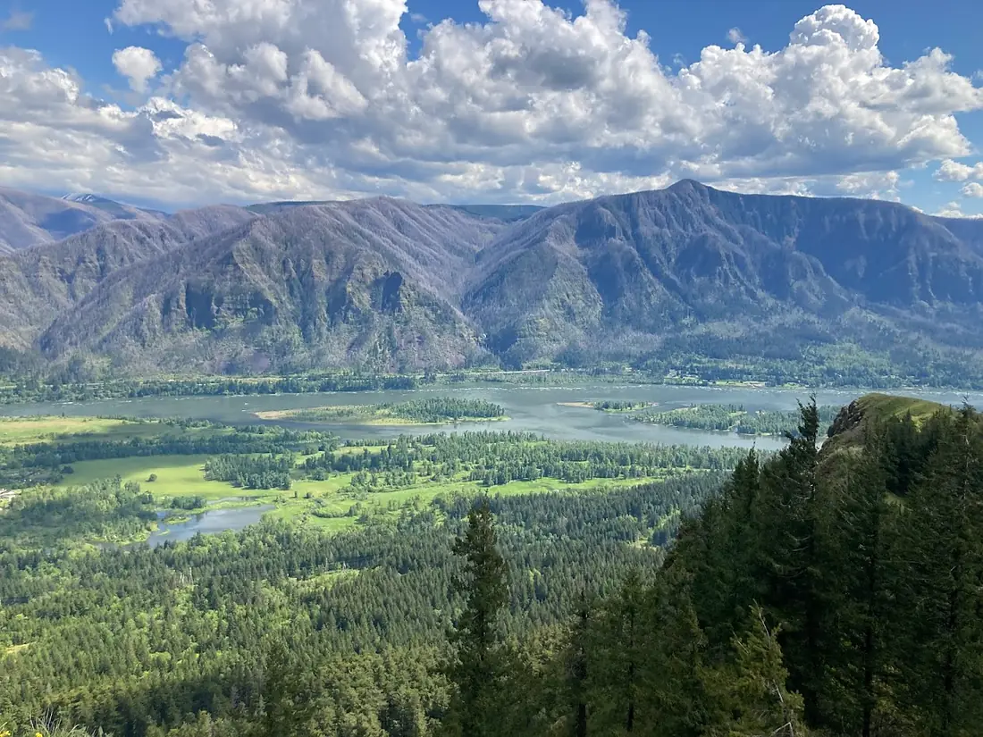 Columbia River Gorge from Hamilton Mountain