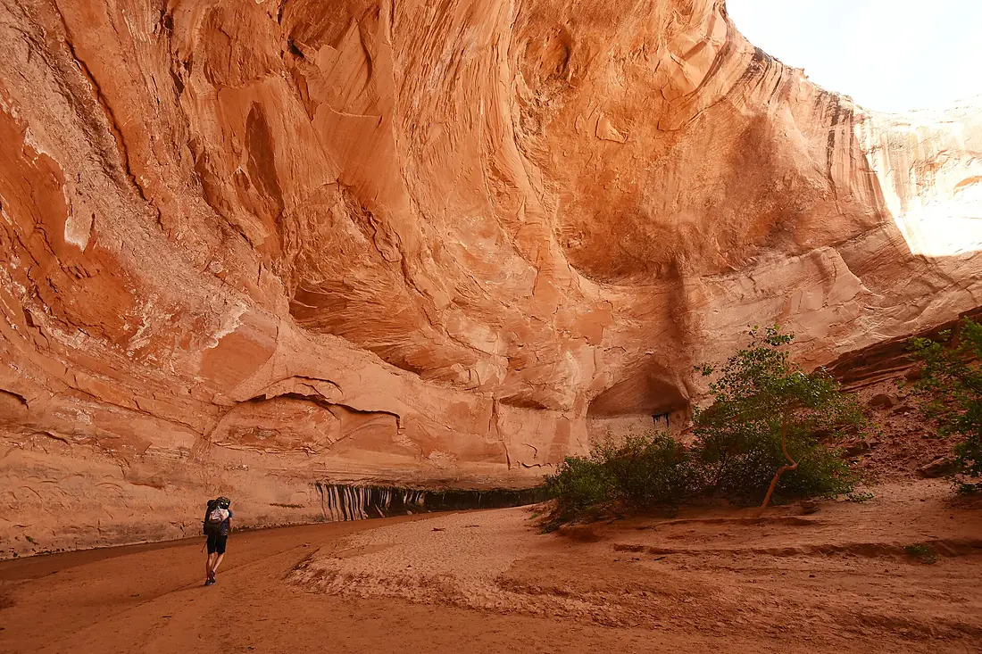 Coyote Gulch. Glen Canyon National Recreation Area, Utah (50132547501)