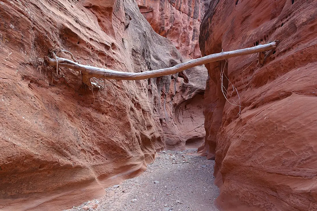 In Little Death Hollow Canyon - Flickr - snowpeak