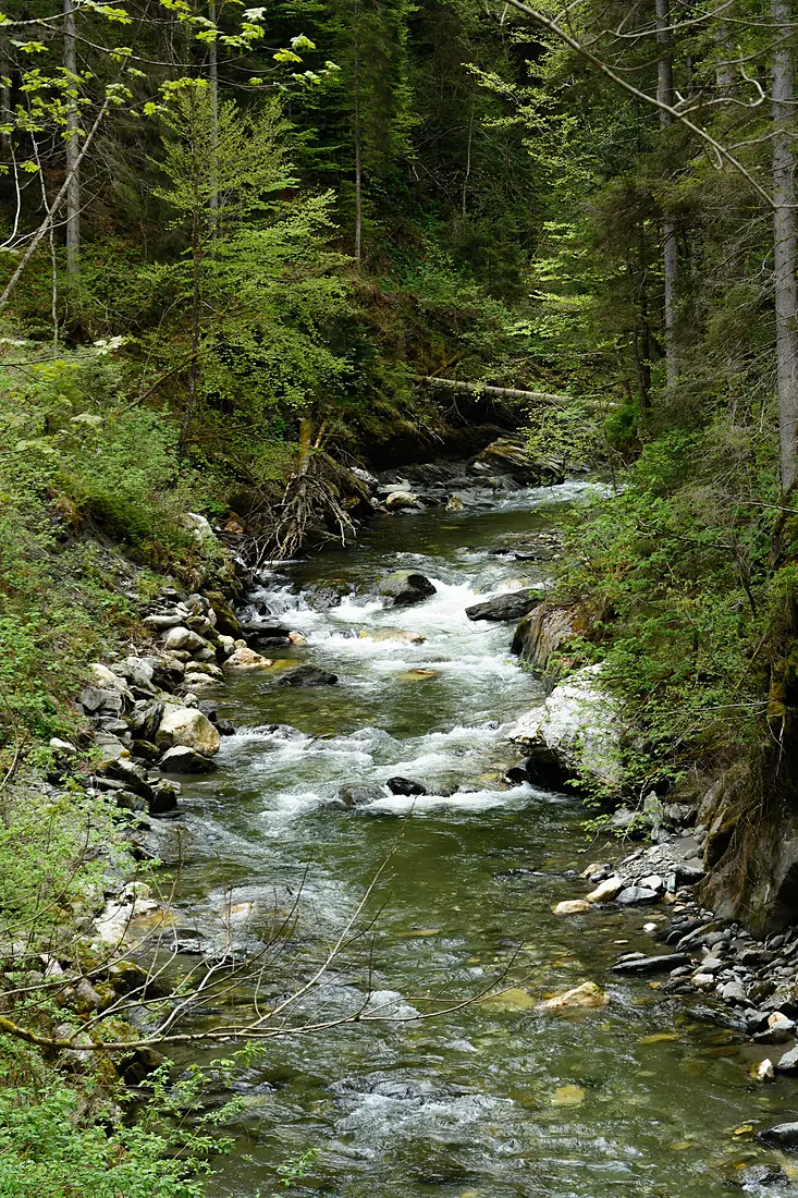 Donnersbachklamm 02