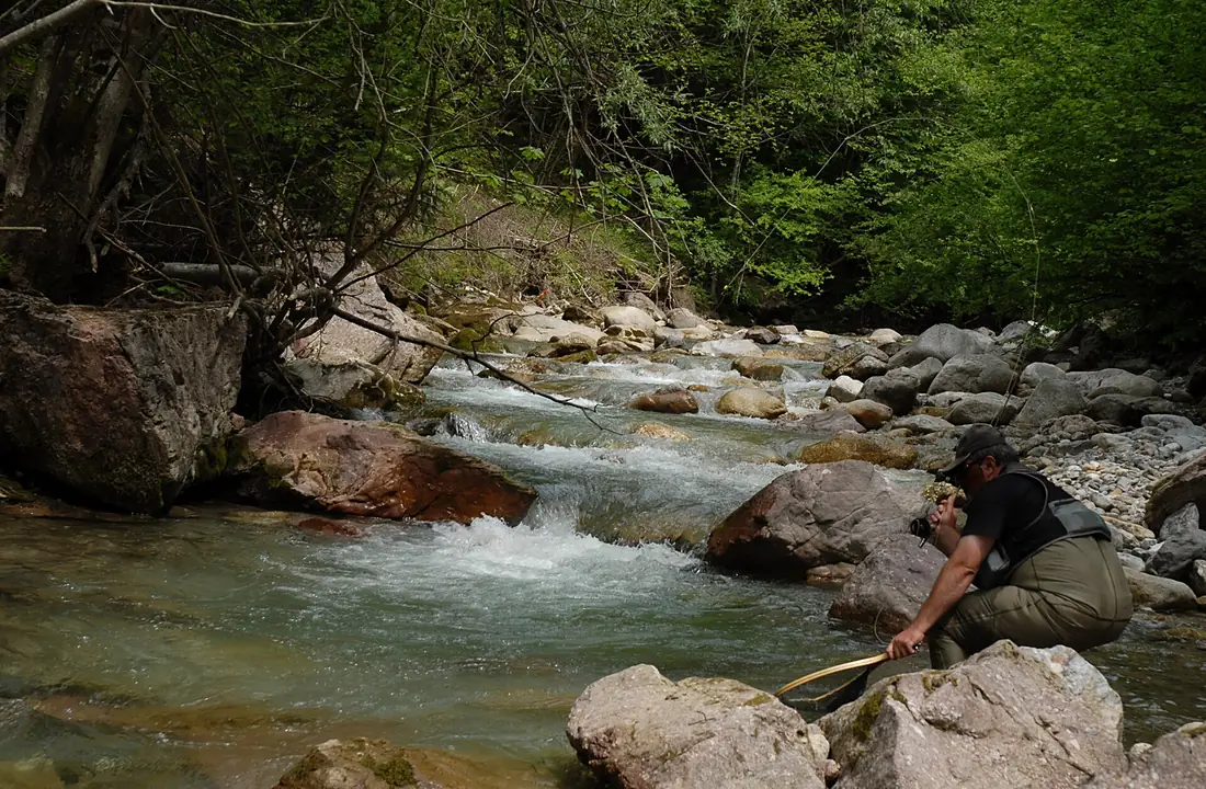 Catch ^ release - panoramio