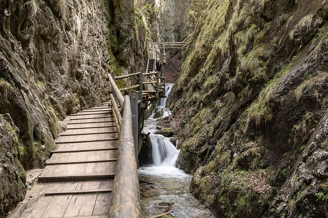 NDOÖ 181 Dr Vogelgesangklamm mitte