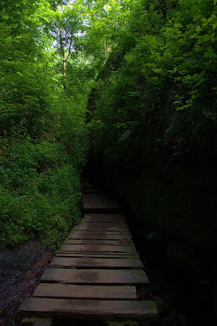 Auf Holzstegen durch die Klamm
