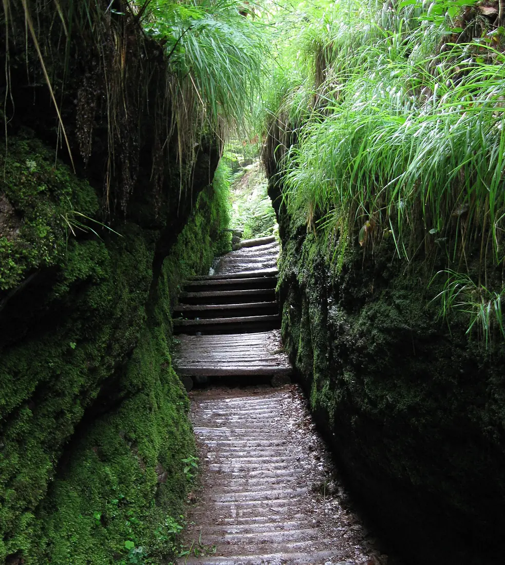 Drachenschlucht Eisenach Juni 2009