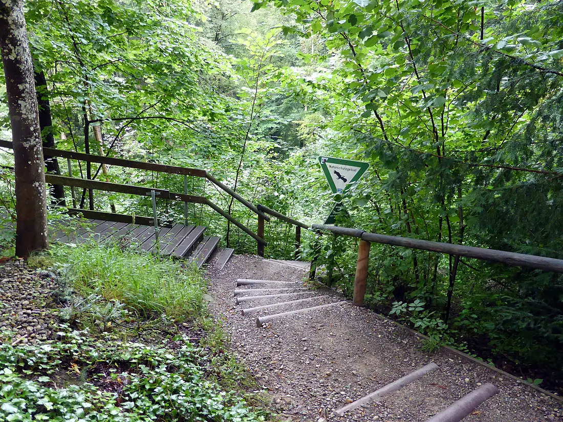 Eistobel (001)