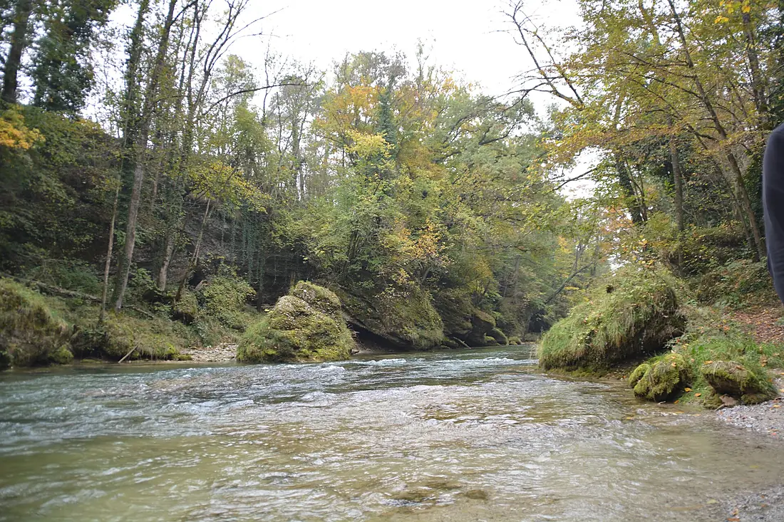Erlaufschlucht Purgstall 02