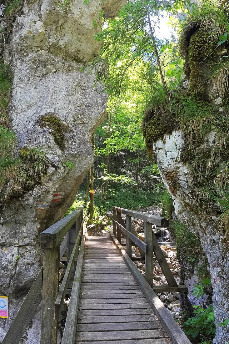 Eingang zur Falkenschlucht bei Türnitz 02 2015-06