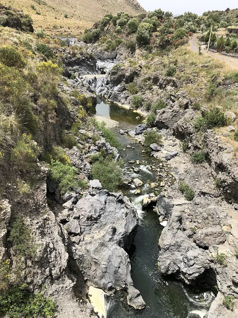 Forre laviche del Fiume Simeto