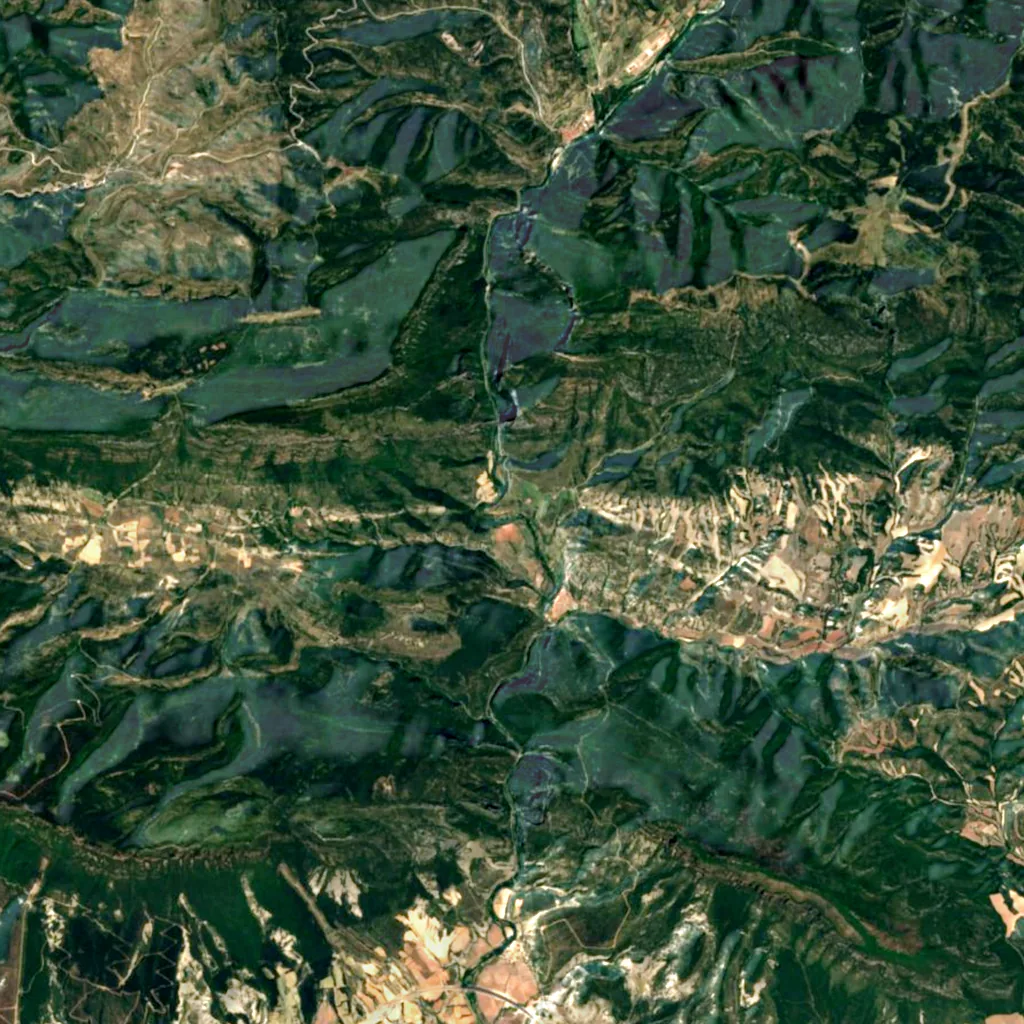 Foz de Burgui seen from above (Sentinel-2)