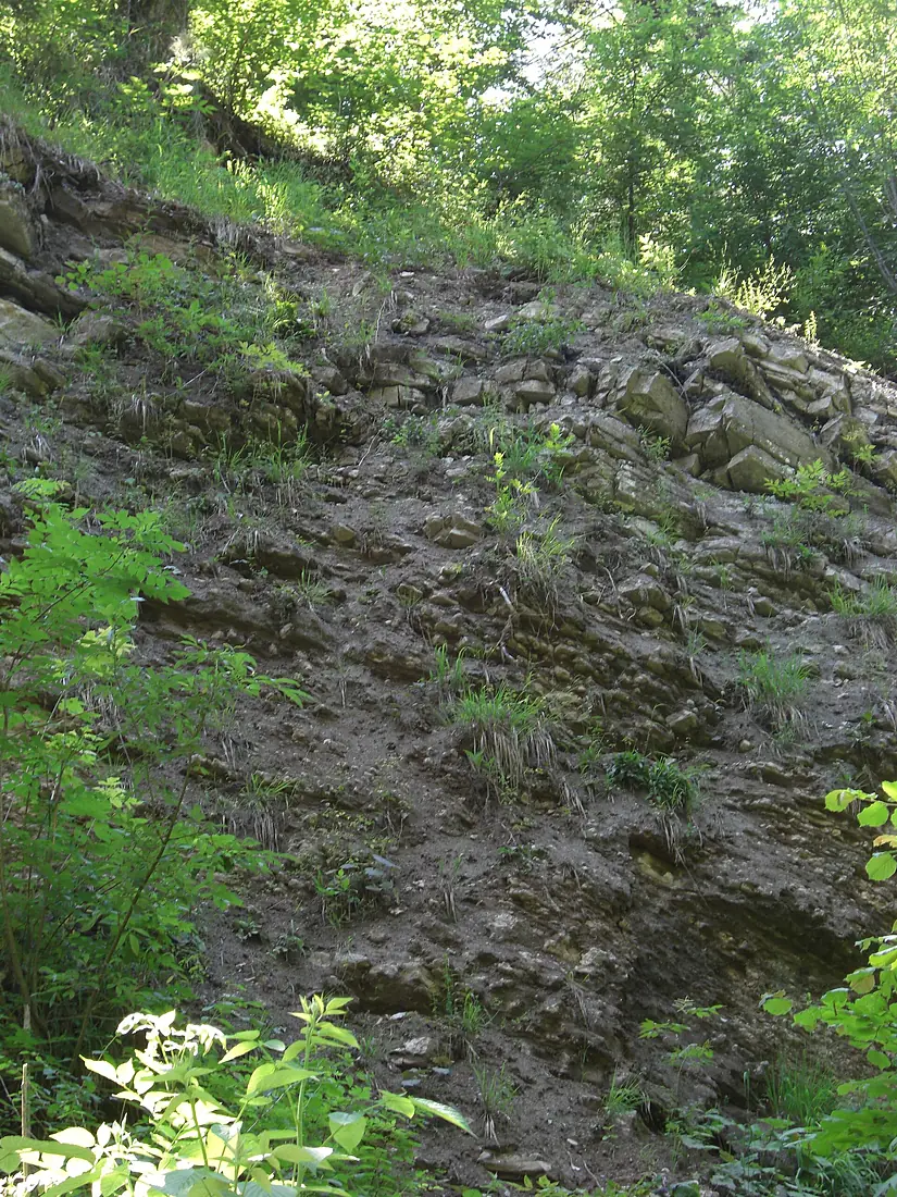 Glasenbachklamm Adneter Mergelserie