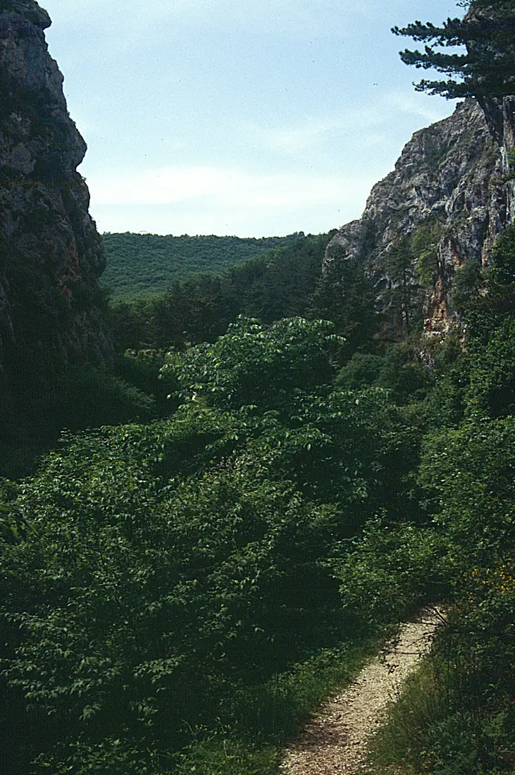 AbrCelanoGole