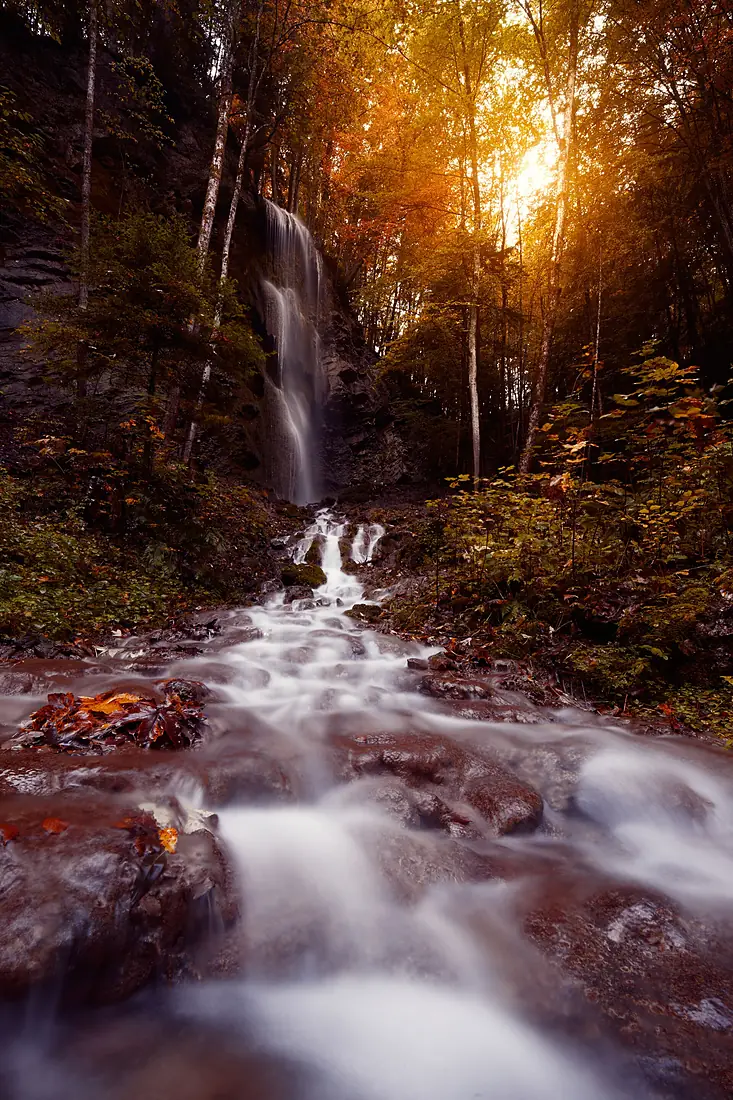 Gorges de la Jogne (49424329767)
