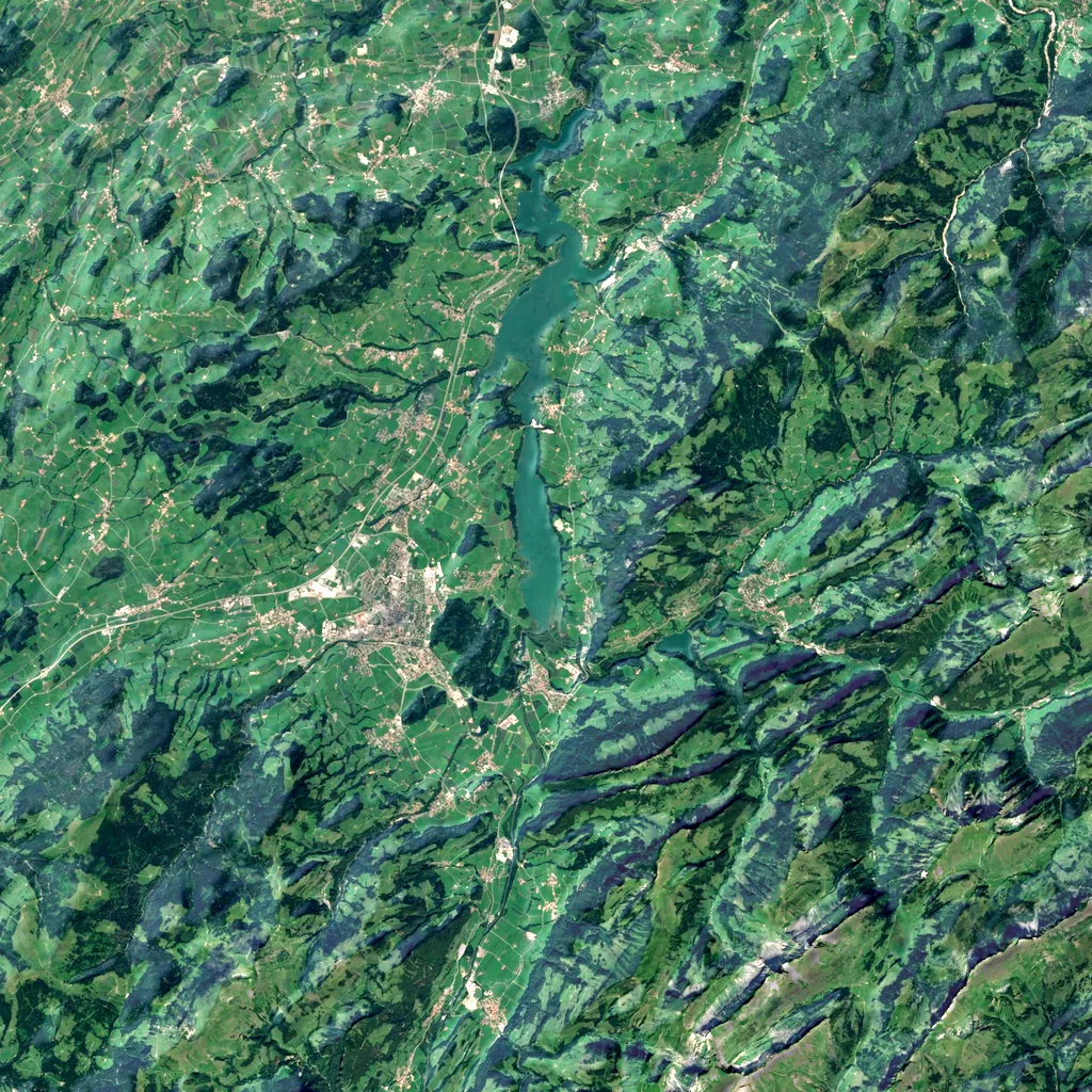 Gorges de la Jogne seen from above (Sentinel-2)