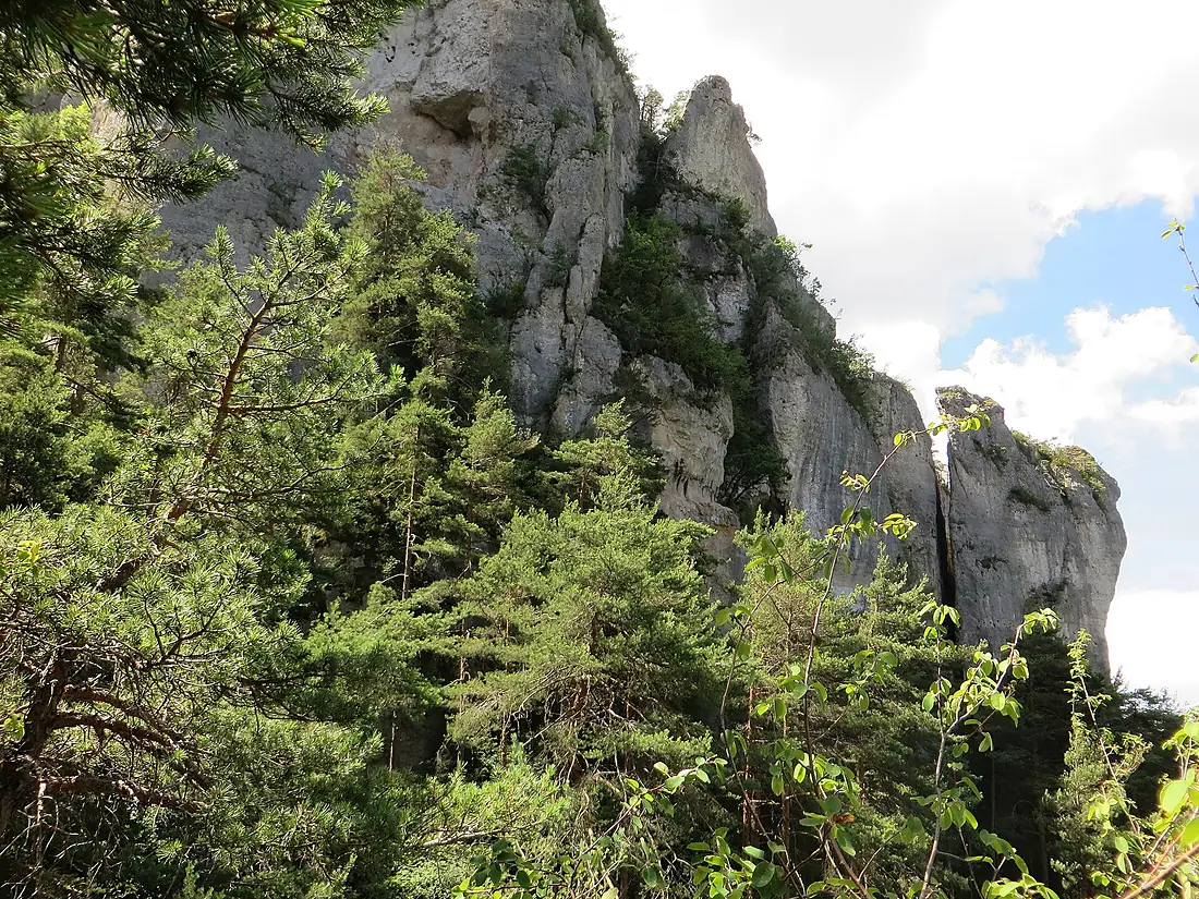 An den Klippen der Jonte-Schlucht bei Le Rozier