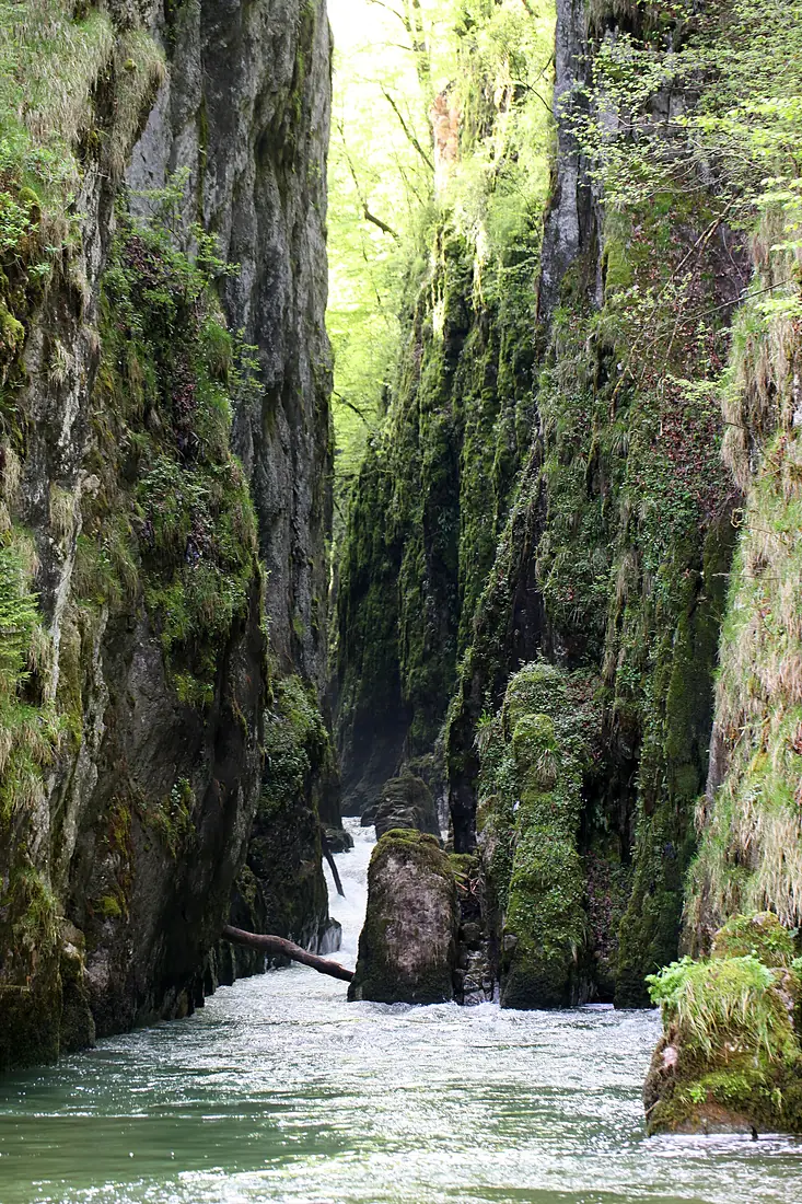 Au fond des gorges de la Langouette