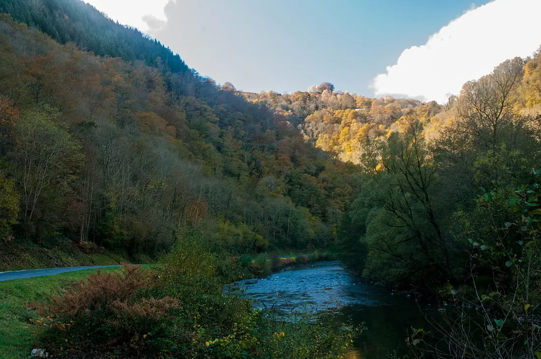 Gorge de la Ribaute (Ariège) - 51693465339