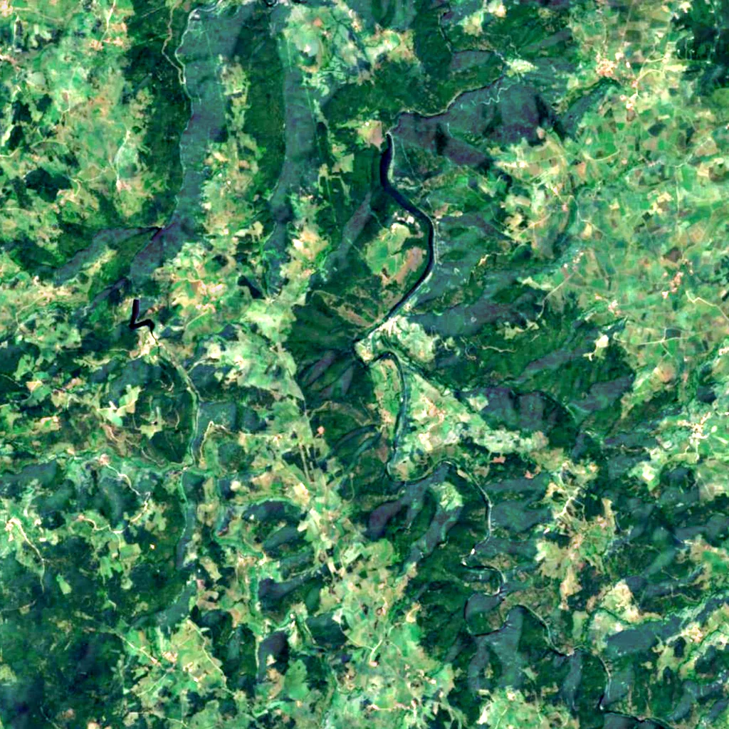 Gorges de l'Allier seen from above (Sentinel-2)