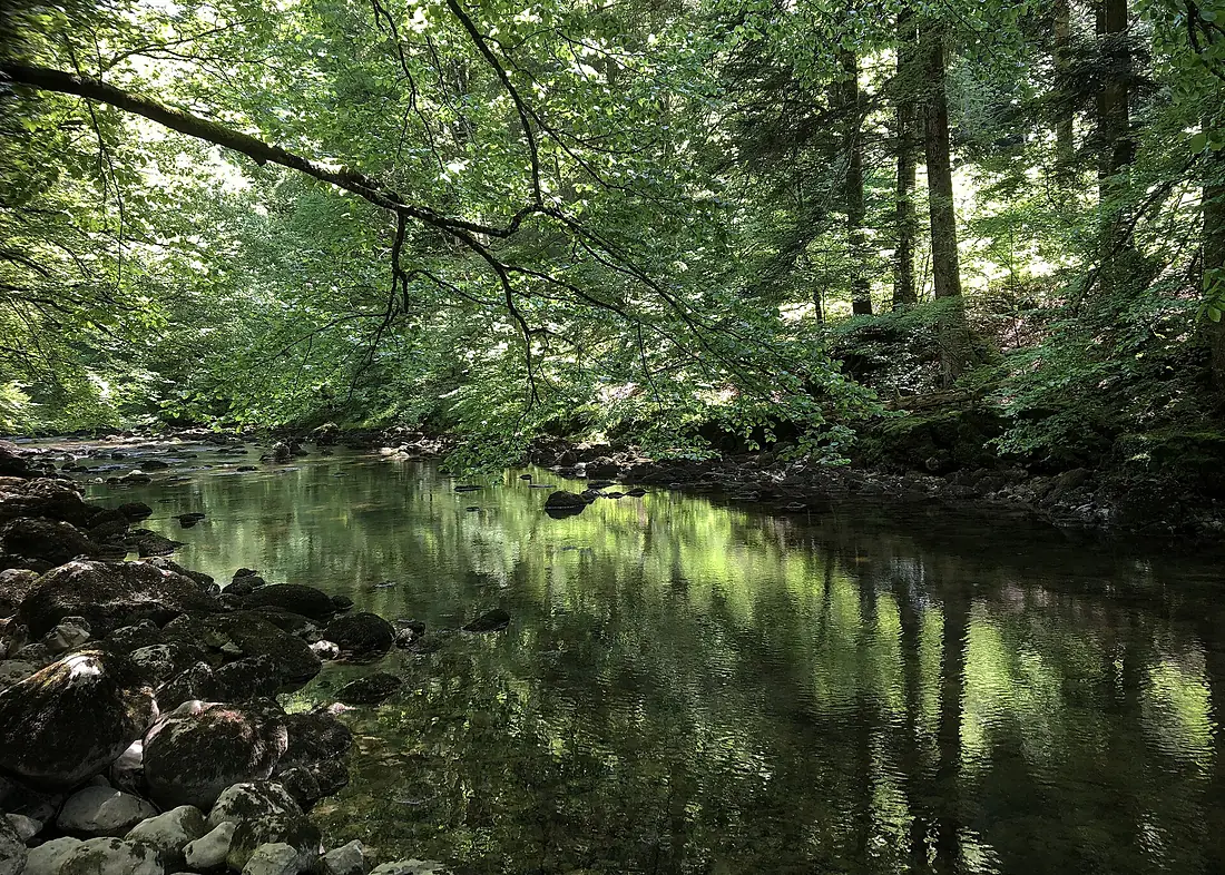 Areuse (Restwasser)