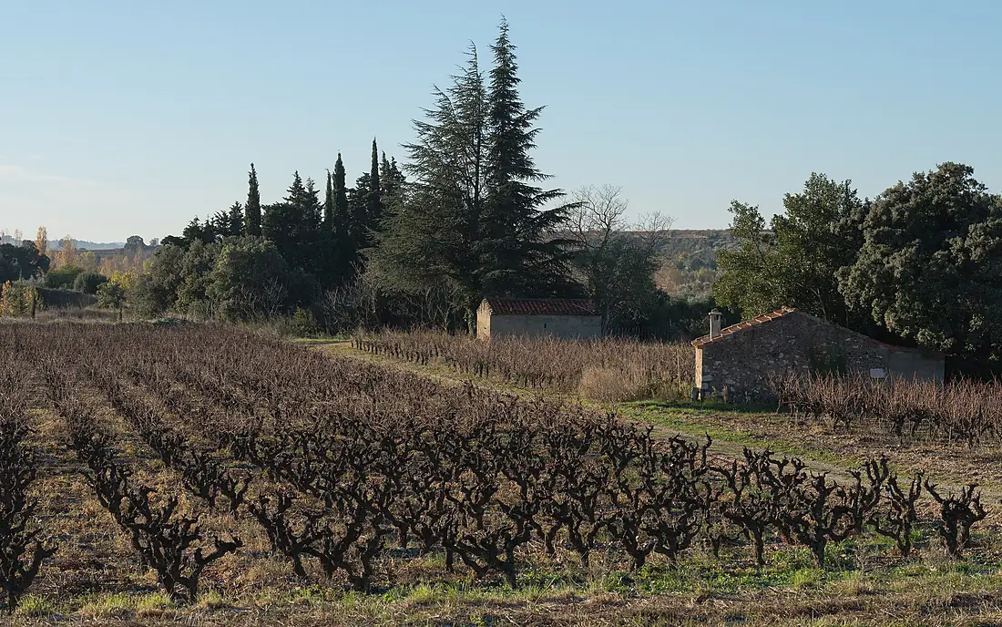 Aniane, Hérault 01