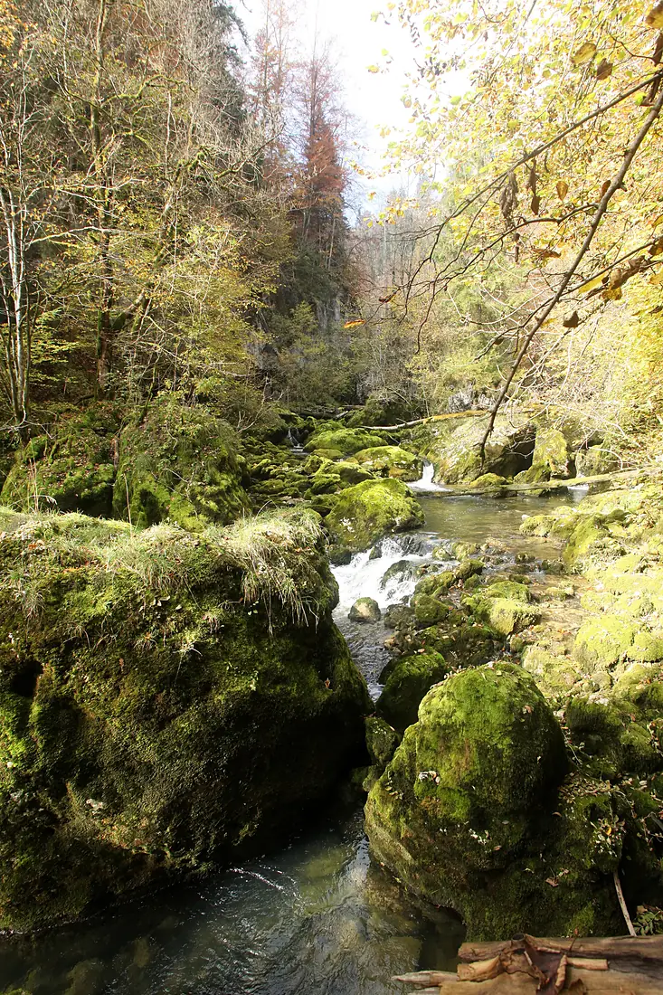 Gorges de l'Orbe - img 45847
