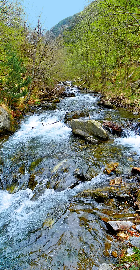 El Segre prop del seu naixement - panoramio