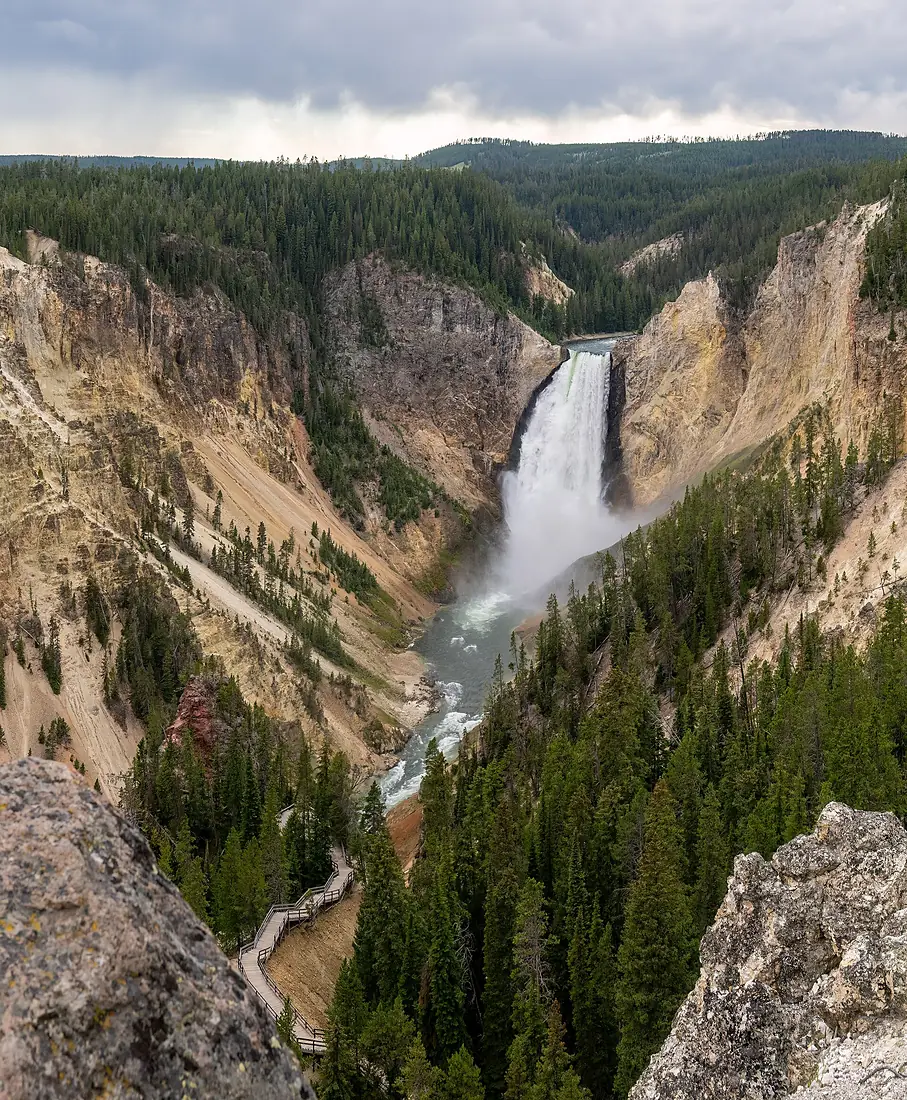Grand Canyon of the Yellowstone Lower Falls (95819p)