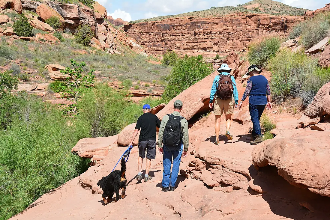 Grandstaff Canyon Hike (27796450894)