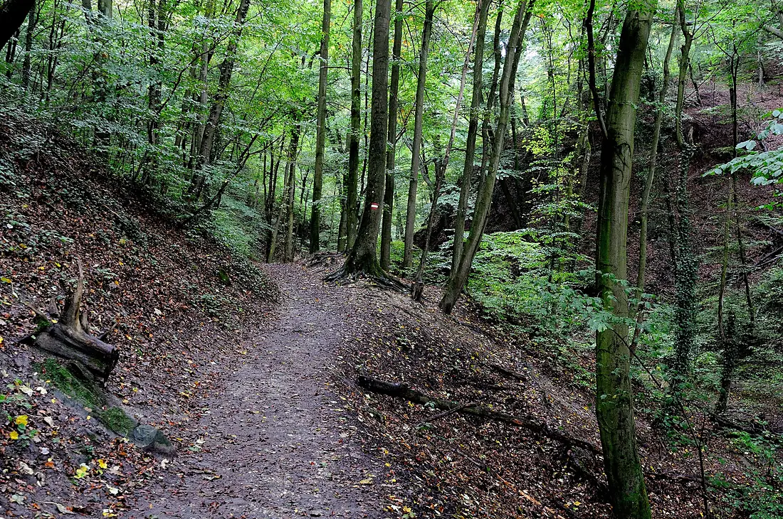 Hagenbachklamm 002