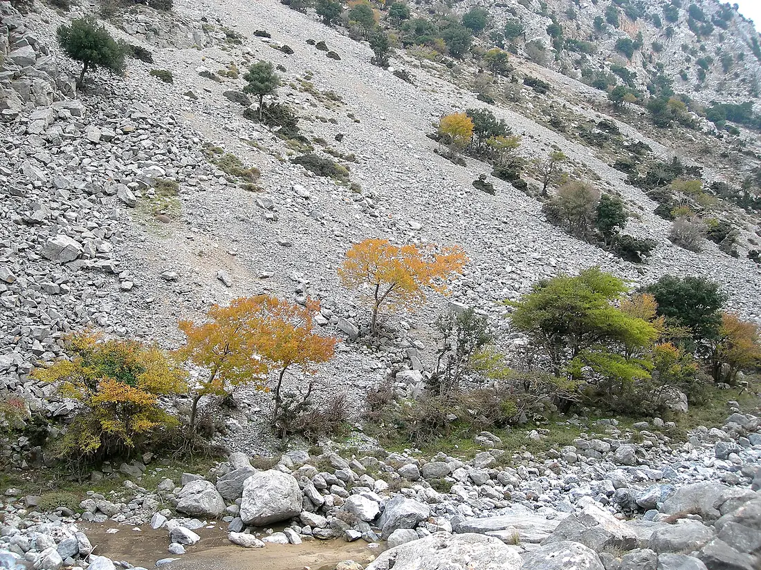 Havgas gorge1