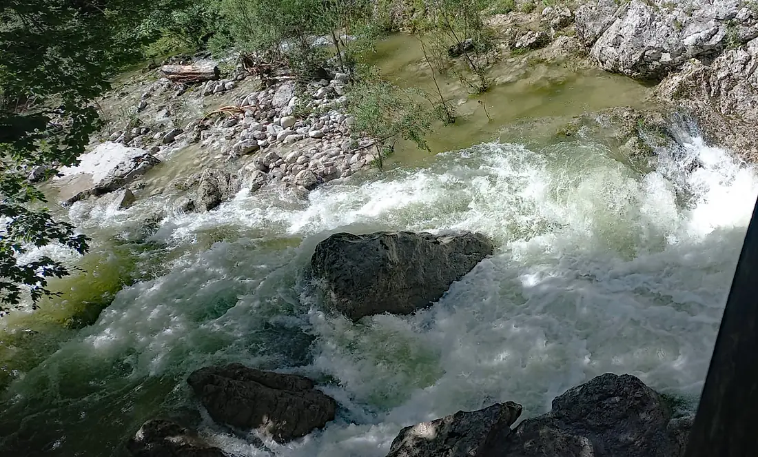 Hintere Tormäuer Erlauf hohe Wasserführung 2025-07-30