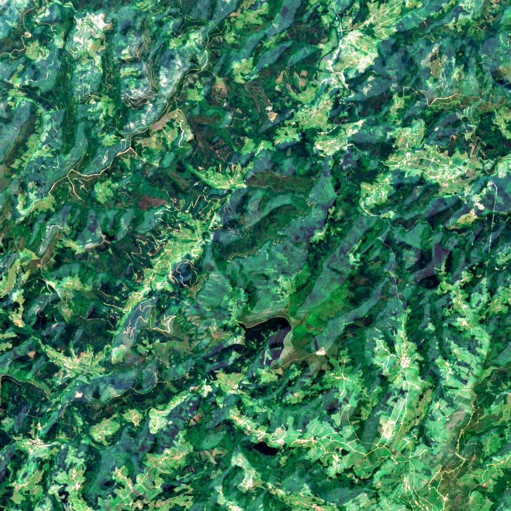 Hoces del Esva seen from above (Sentinel-2)