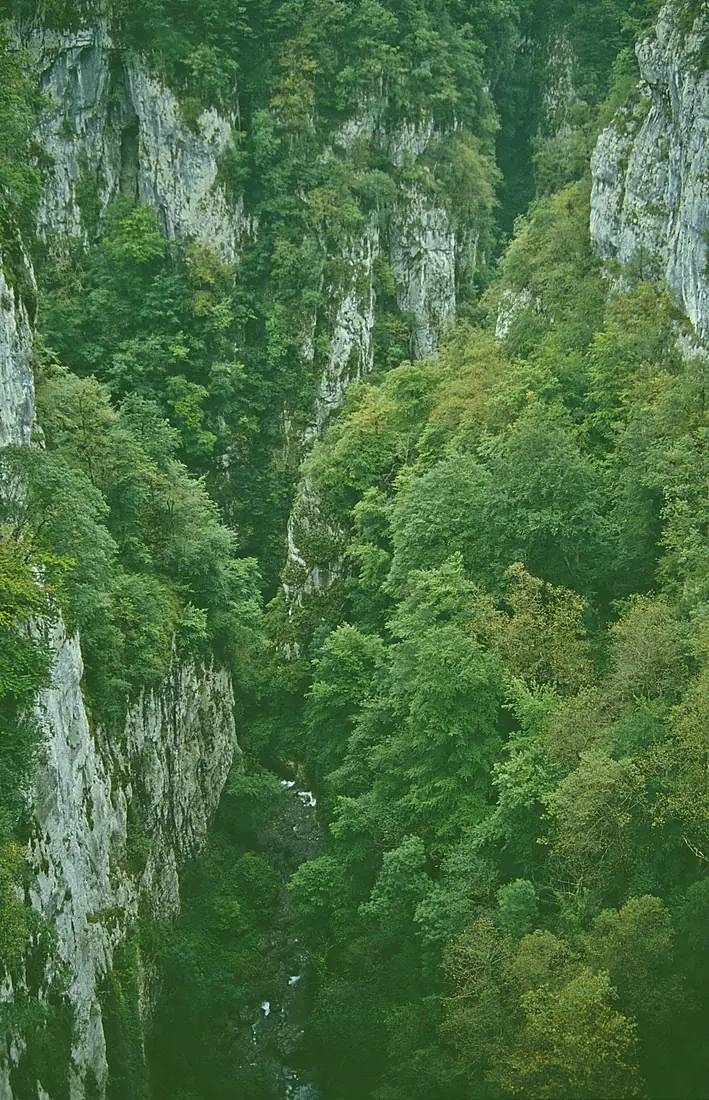SW-FGorgesD'Holzarté2