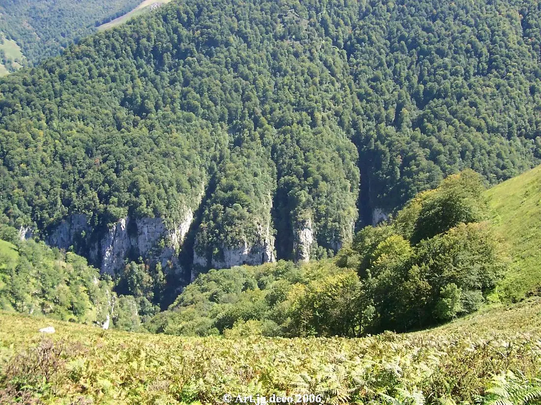 Gorges D'holçarte 1 (2738117776)