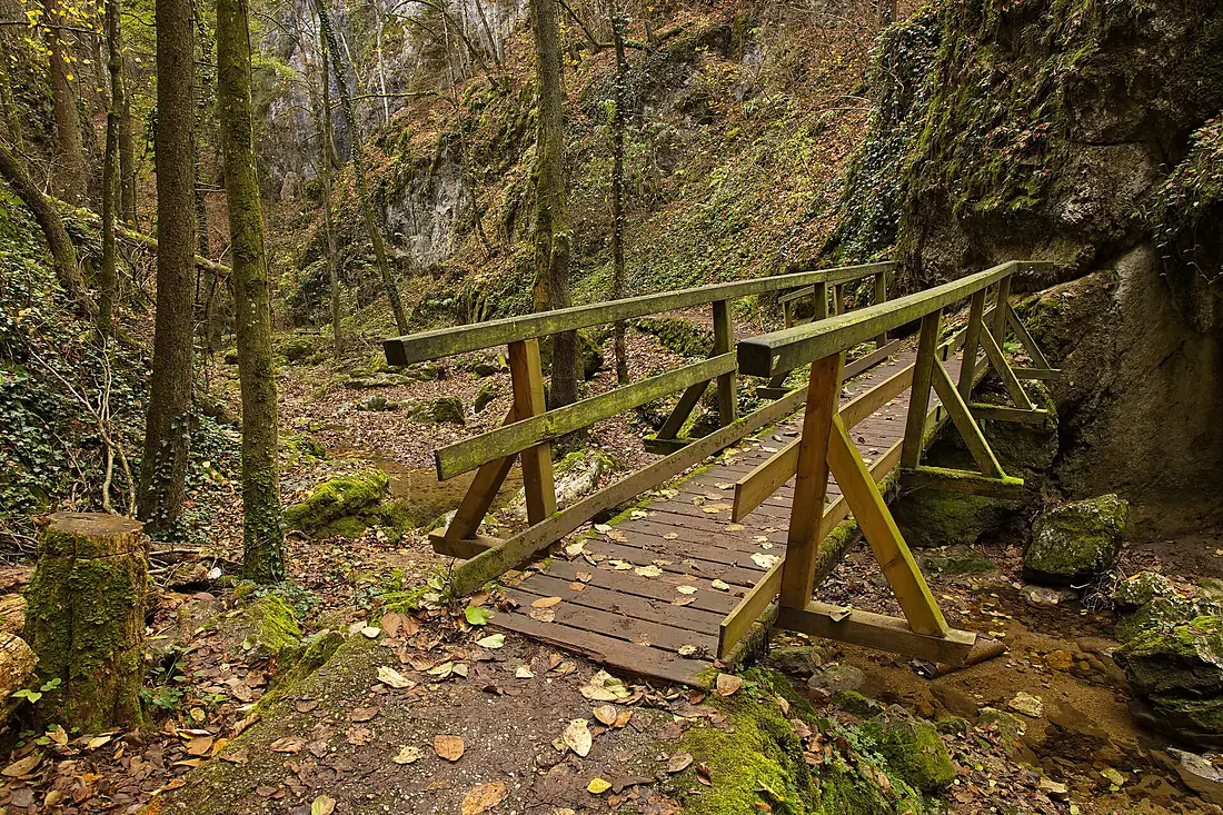 Herbst in der Johannesbachklamm 01