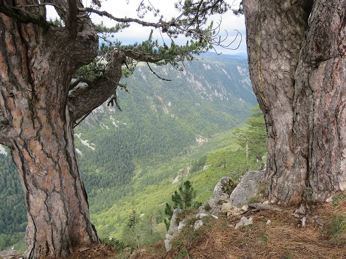 Kanjon Sušice, Montenegro, September 2022 01