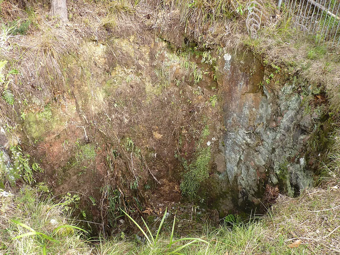 Karangahake Gorge Historic Walkway, New Zealand (14)