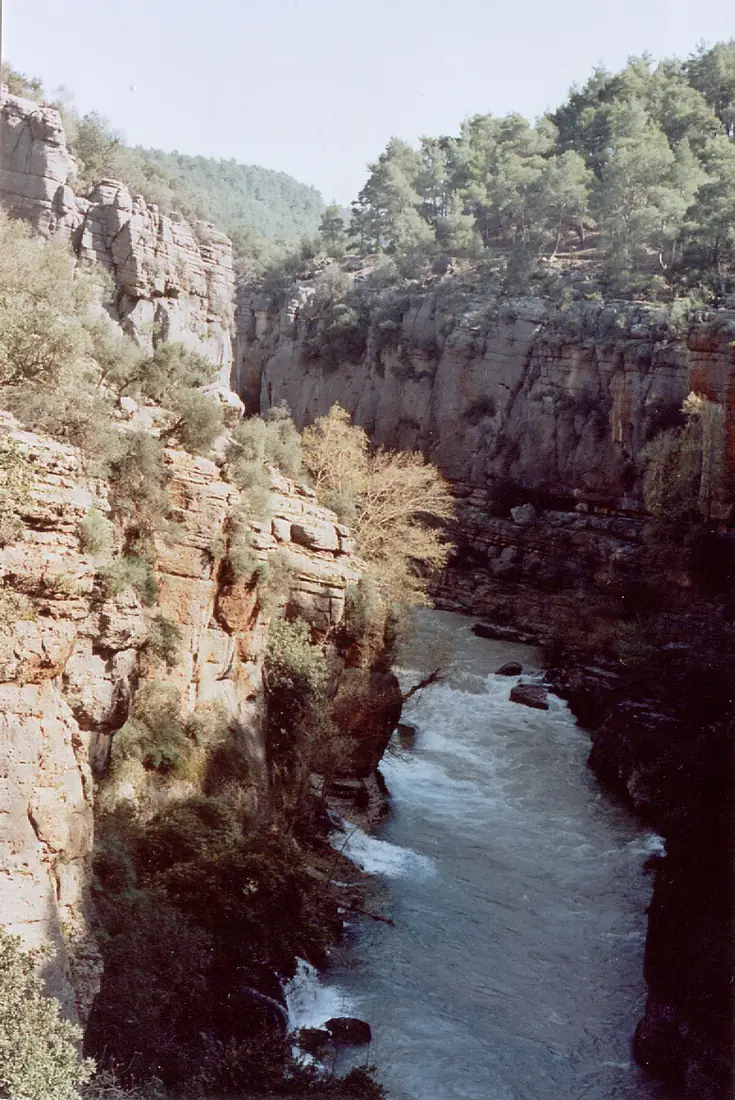 A look into the Koprulu canyon - panoramio