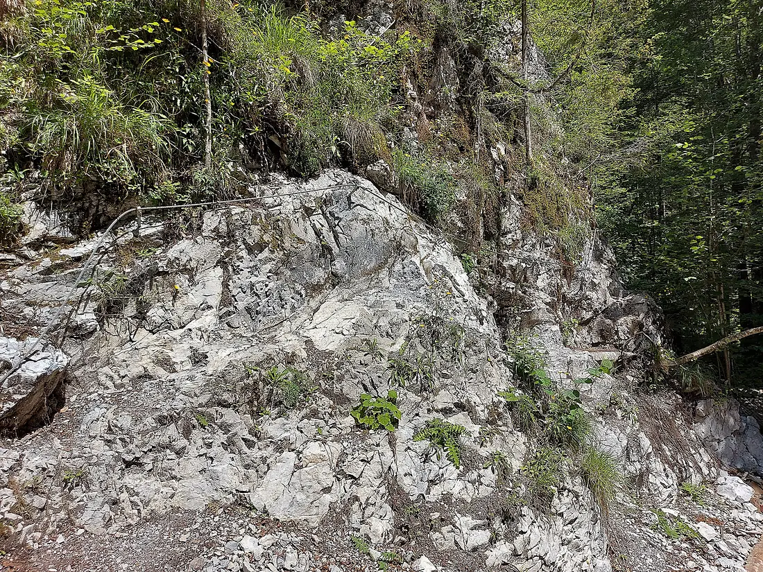 Drahtseilpassage (Kupitzklamm 2024) 146