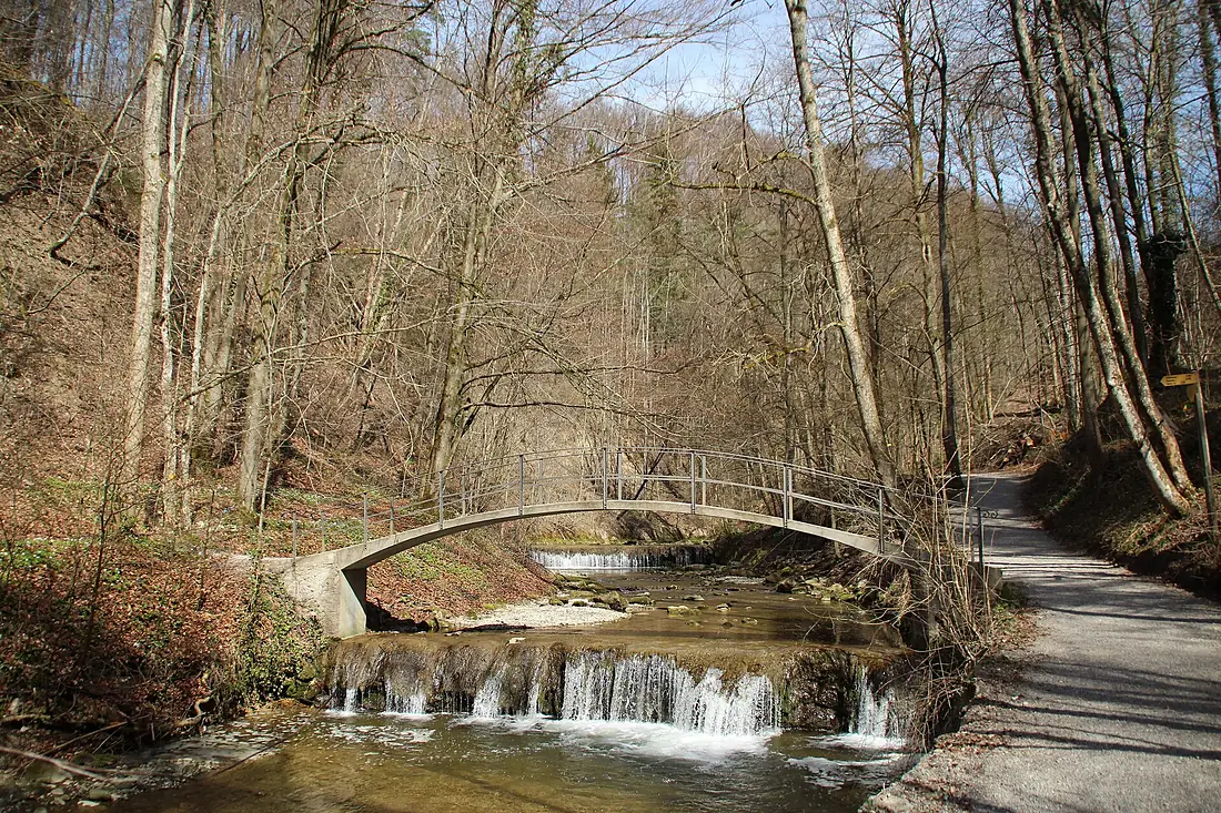 Küsnachtertobel Brücke