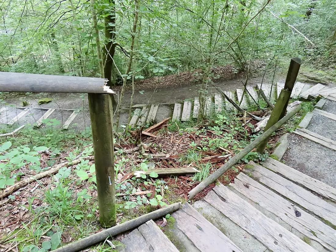 2024-06-17 Küsnachter-Tobel Treppe