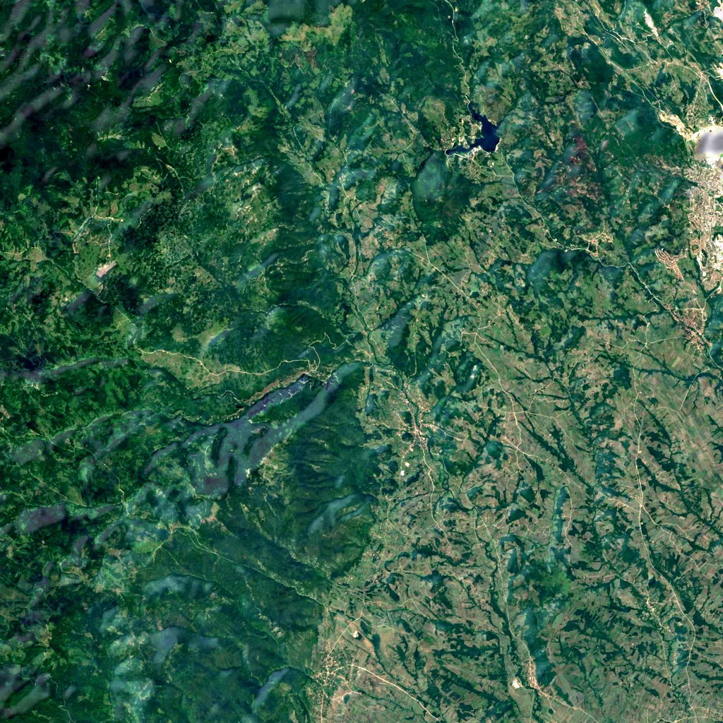 Lazar's Canyon seen from above (Sentinel-2)